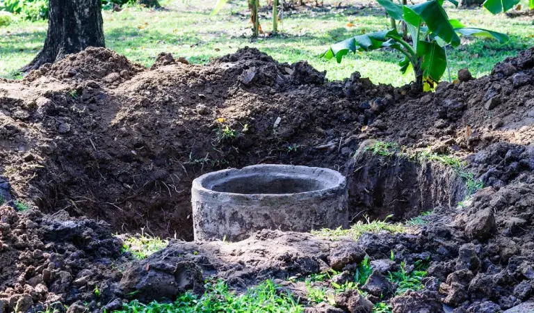 A concrete bowl in the middle of a field.